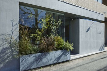 branch hair | 横川/十日市/舟入/西広島のヘアサロン