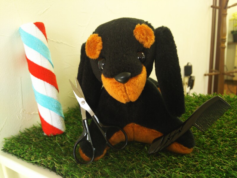 NiiMI【ニイミ】 | 半田のヘアサロン