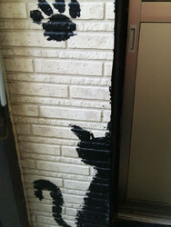 ねこや | 柏のリラクゼーション