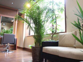 Riziere | 田園調布のヘアサロン