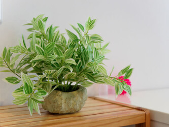 まきもと整体院 | つくばのリラクゼーション