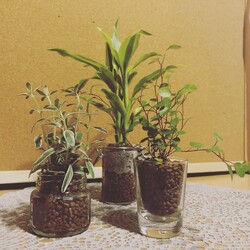 Natulle | 刈谷のエステサロン