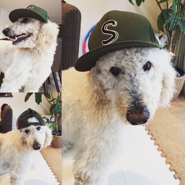 magnifigue | 西区/手稲区周辺のヘアサロン