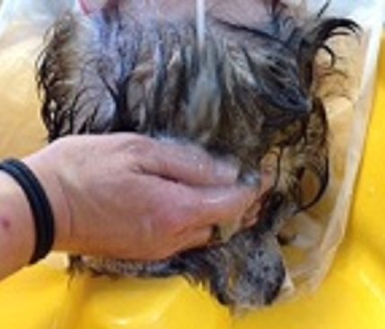 Hair&Aesthetic 美容室アフロス | 板橋のヘアサロン Hair&Aesthetic 美容室アフロス | 板橋のヘアサロン