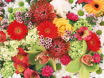 Salon De Rebirth | 麻布のエステサロン Salon De Rebirth | 麻布のエステサロン