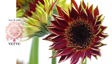 hair & make verve | 千歳烏山のヘアサロン