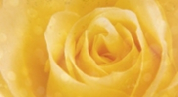 ボーテ・ド・キュア | 高崎のエステサロン