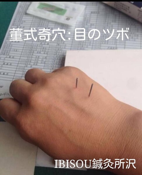 IBISOU 鍼灸所沢 | 所沢のリラクゼーション IBISOU 鍼灸所沢 | 所沢のリラクゼーション