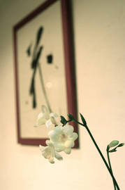 花 美容室　西荻窪店 | 荻窪のヘアサロン