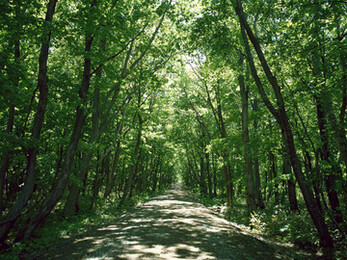 ボディメンテナンス　あんま・指圧・マッサージ・調整たろう湧泉堂