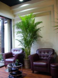 どれっしんぐ 五反野店 | 綾瀬のヘアサロン どれっしんぐ 五反野店 | 綾瀬のヘアサロン