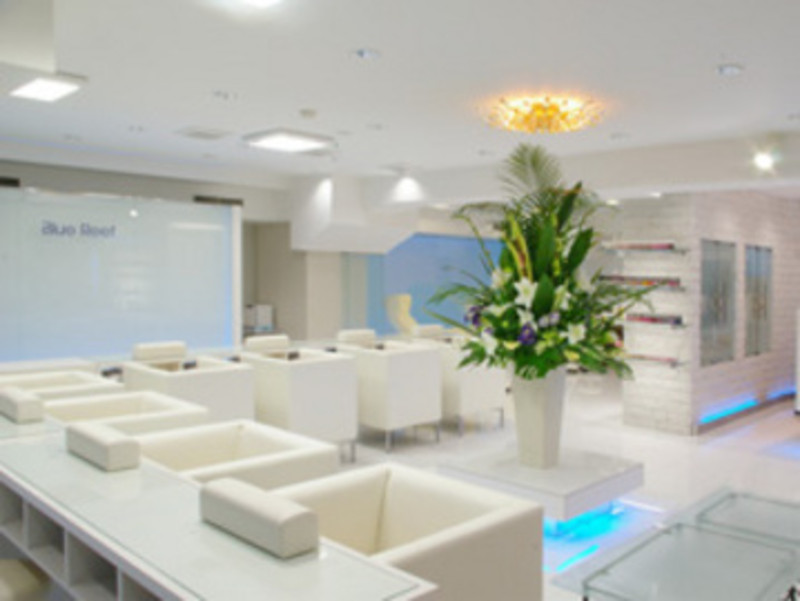 Blue Reef 銀座店 ブルーリーフギンザテン 東京都 新橋 のネイルサロン ビューティーパーク