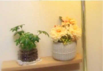 エステティックサロンプラス１ | 新宿のエステサロン