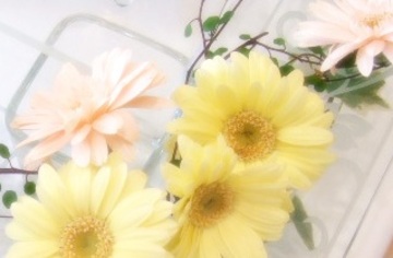 ラ・フォンテ | 阿佐ヶ谷のエステサロン