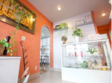 山野愛子どろんこ美容 クレスティサロン南越谷店 | 越谷のエステサロン