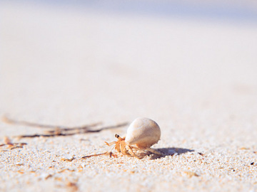 Avec jorie | 稲毛のエステサロン