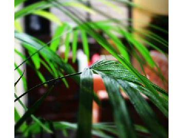 美容亭　らずぶらんこ | 厚木のヘアサロン