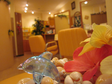 hair&make-up palm tree(パームツリー） | 柏のヘアサロン