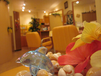 hair&make-up palm tree(パームツリー） | 柏のヘアサロン