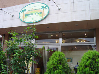 hair&make-up palm tree(パームツリー） | 柏のヘアサロン