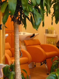 hair&make-up palm tree(パームツリー) | 柏のヘアサロン hair&make-up palm tree(パームツリー) | 柏のヘアサロン