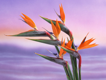 PLB | 門前仲町のエステサロン PLB | 門前仲町のエステサロン