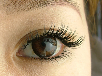 Salon de reina de GINZA | 千葉のアイラッシュ