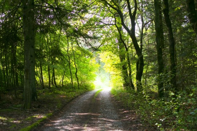 マザーヒーリング | 水戸のリラクゼーション