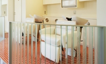 Hair Salon WHO-GA annex | 赤坂のヘアサロン