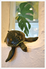 Salon de Mieux | 鎌倉のヘアサロン Salon de Mieux | 鎌倉のヘアサロン