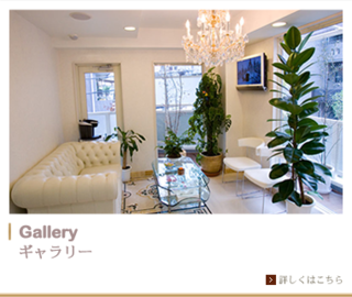 La Belle Visage | 二子玉川のエステサロン La Belle Visage | 二子玉川のエステサロン