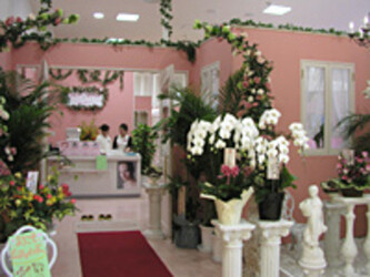 ピュアマインド モリタウン昭島店 | 立川のエステサロン ピュアマインド モリタウン昭島店 | 立川のエステサロン