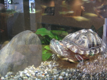 Coo | 武蔵小山のヘアサロン