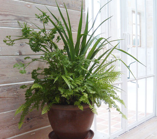 ナチュラルヒーリングサロン Nefertity ~ネフェルティティ~ | 豊中のリラクゼーション ナチュラルヒーリングサロン Nefertity ~ネフェルティティ~ | 豊中のリラクゼーション