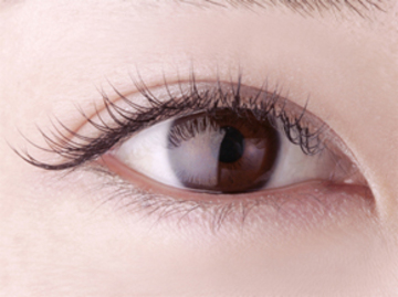 NEW BEAUTY 自由が丘店 | 自由が丘のアイラッシュ NEW BEAUTY 自由が丘店 | 自由が丘のアイラッシュ