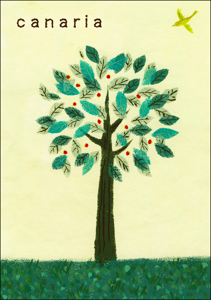 canaria | 中目黒のヘアサロン