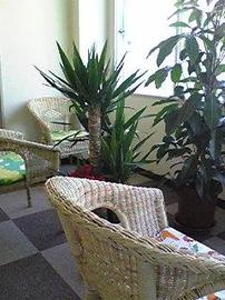 SUN鍼灸院 SUN BAMBOO SALON併設 | 東京のエステサロン