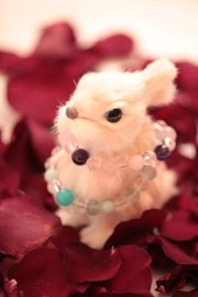 ヒーリングサロン☆セレナイト☆ | 飯田橋のリラクゼーション ヒーリングサロン☆セレナイト☆ | 飯田橋のリラクゼーション