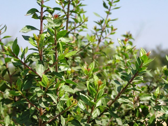 Le Ciel Bleu | 用賀のヘアサロン