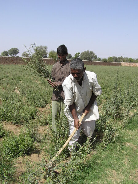 Le Ciel Bleu | 用賀のヘアサロン