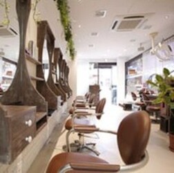 Loops plaza 自由が丘Oasls店 | 自由が丘のヘアサロン Loops plaza 自由が丘Oasls店 | 自由が丘のヘアサロン