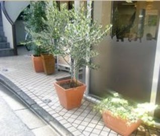 Loops plaza　日吉店 | 菊名のヘアサロン