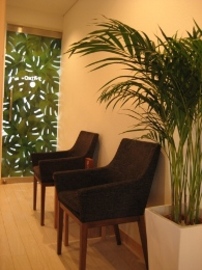 まつ毛エクステサロン PRIMO | 原宿のアイラッシュ まつ毛エクステサロン PRIMO | 原宿のアイラッシュ