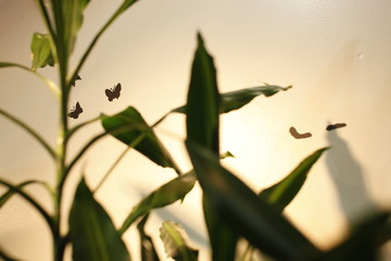 analog hairdressing | 円山公園のヘアサロン