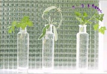 フィトナチューラ　札幌本店 | 白石区/南区/豊平区周辺のリラクゼーション