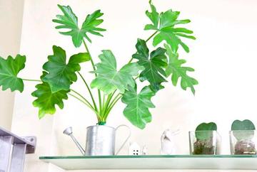 Le schon　八幡町店 | 八王子のヘアサロン