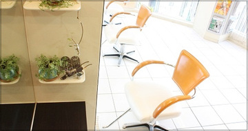 pas de deux feerie原宿店 | 原宿のヘアサロン