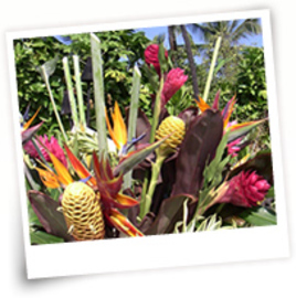 Little Bird | 表参道のリラクゼーション