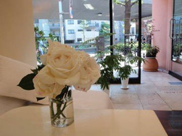 salon de BONAMI 南青山店 | 表参道のヘアサロン salon de BONAMI 南青山店 | 表参道のヘアサロン