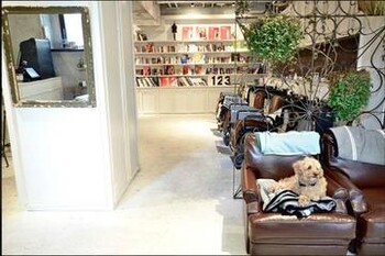 H | 原宿のヘアサロン H | 原宿のヘアサロン